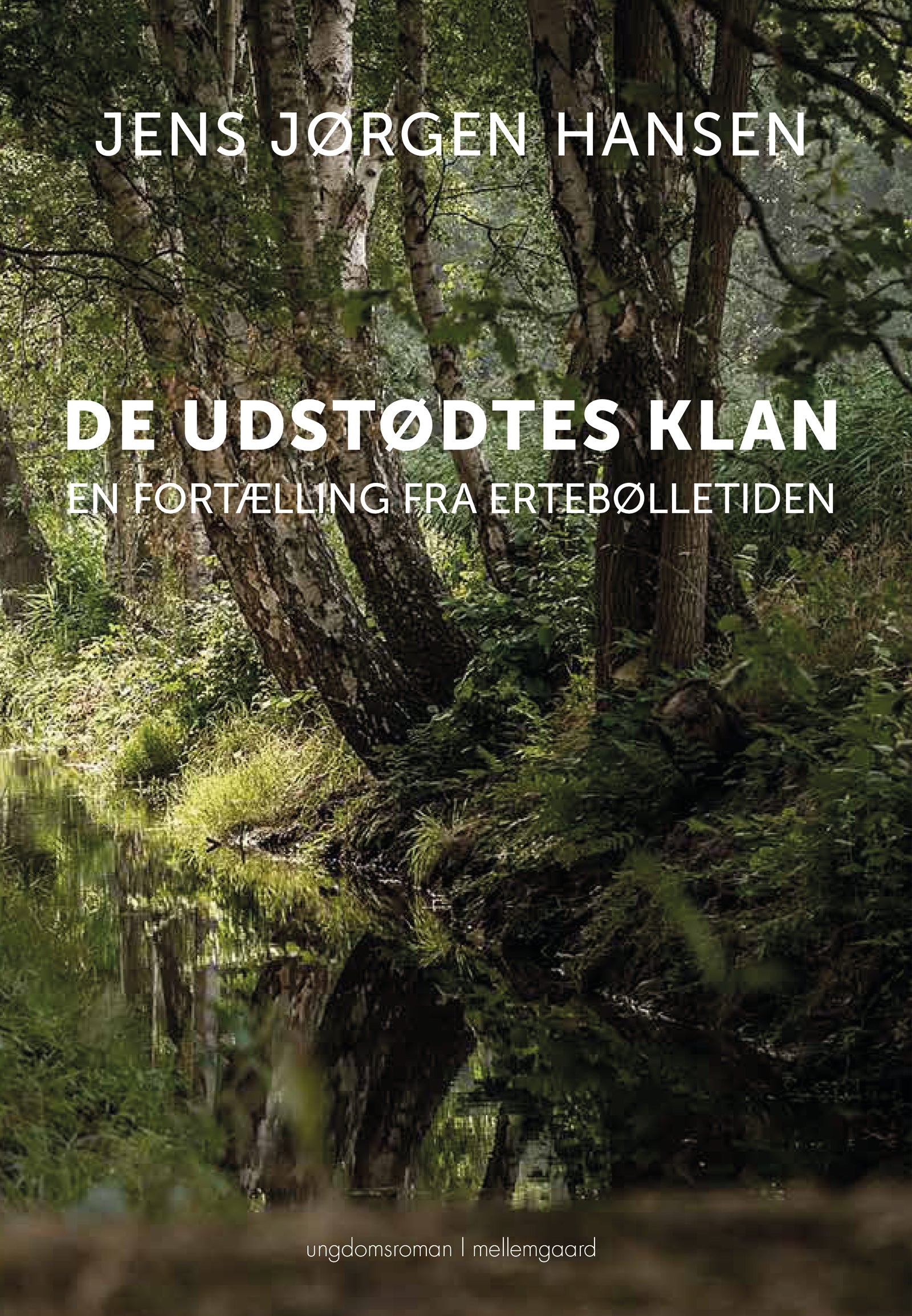 Forside billede